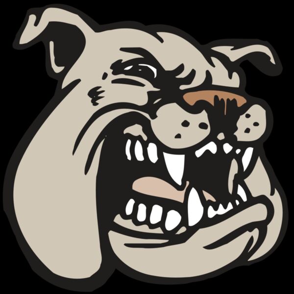 AR BDOG 38 RC Thumbnail