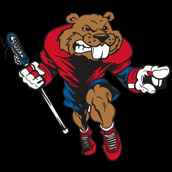 AR8 BEAVER 03 RQC Thumbnail