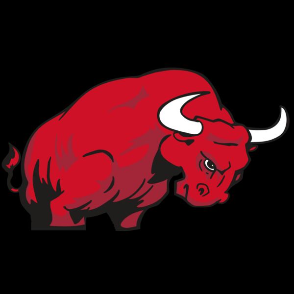 AR BULL 12 RC Thumbnail