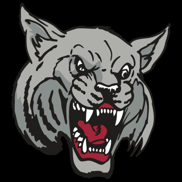 AR WILDCAT 42 RC Thumbnail