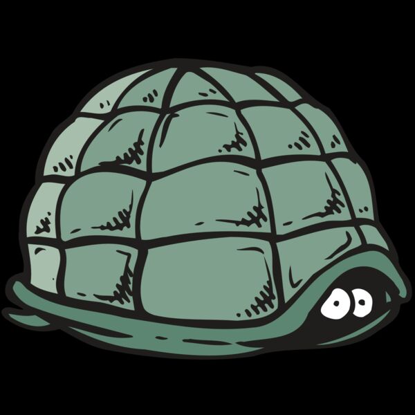 AR5 Turtle 10 RQC Thumbnail