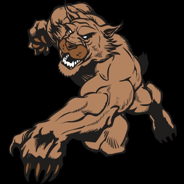 AR WILDCAT 47 RC Thumbnail